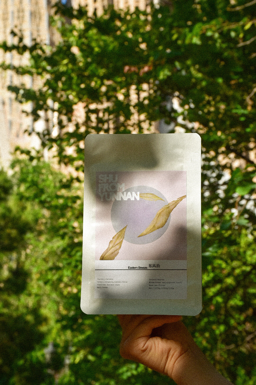 东风韵 Eastern Breeze