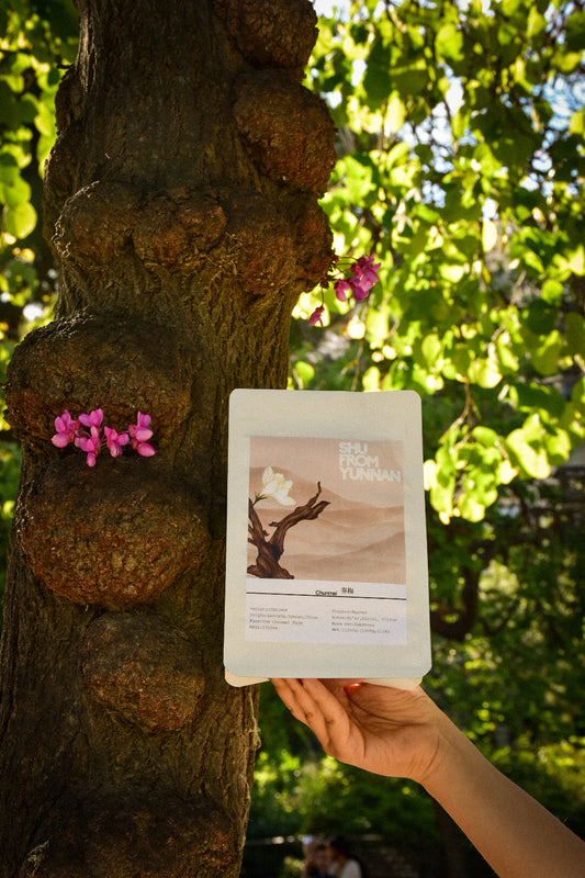 ζ₯ζ’
 Chun Mei