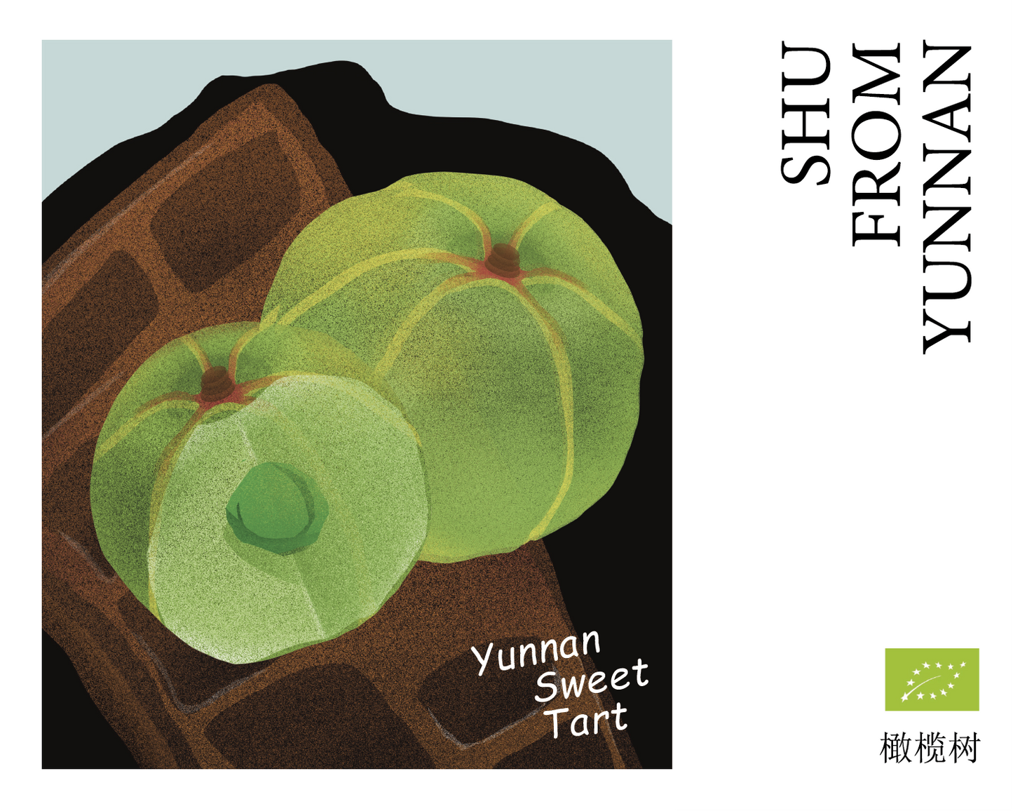 橄榄树 Yunnan Sweet Tart