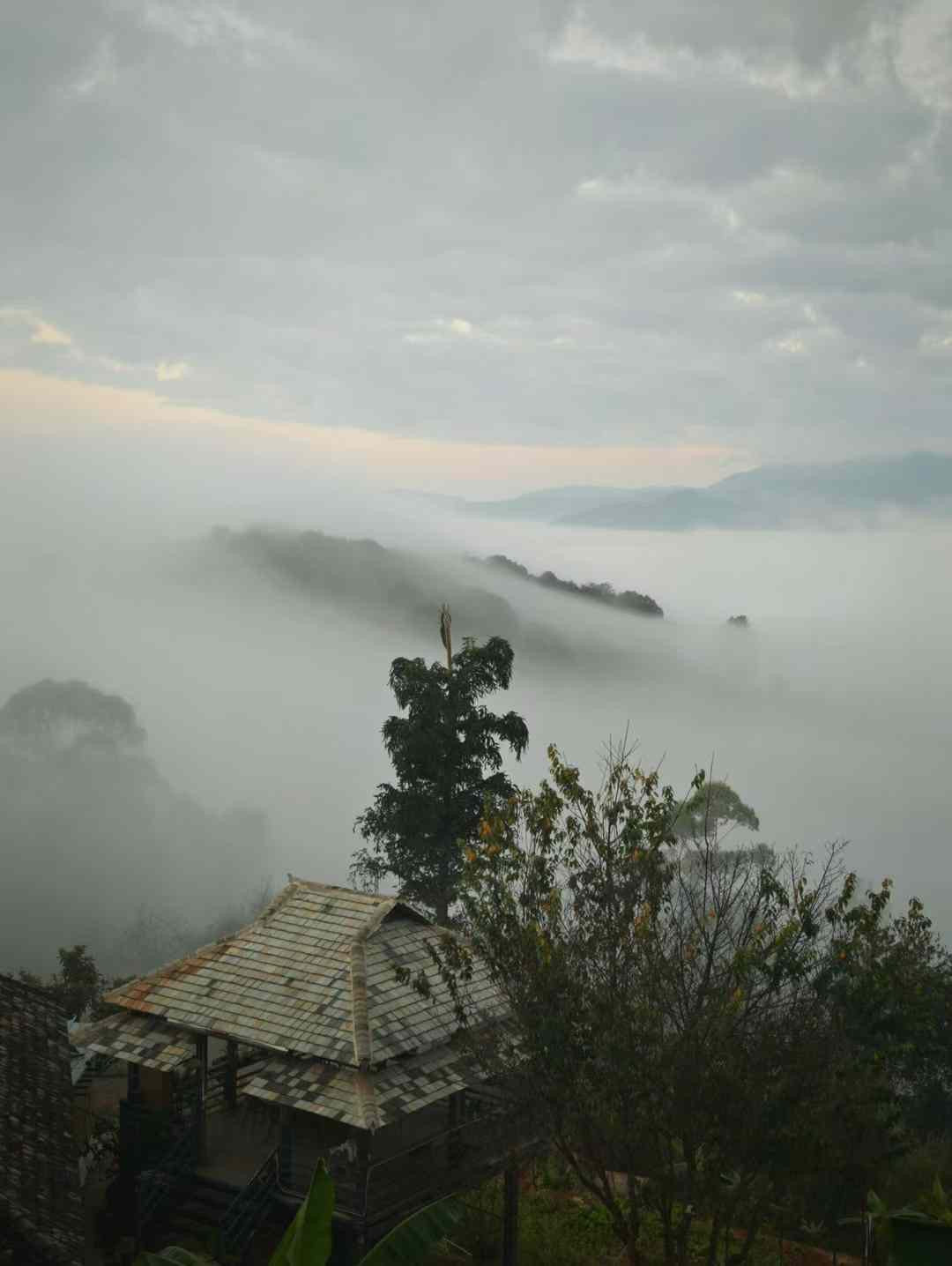 Beyond the Cup: Recapping Our March 2026 Journey Through Yunnan’s Living Terroir & Culture
