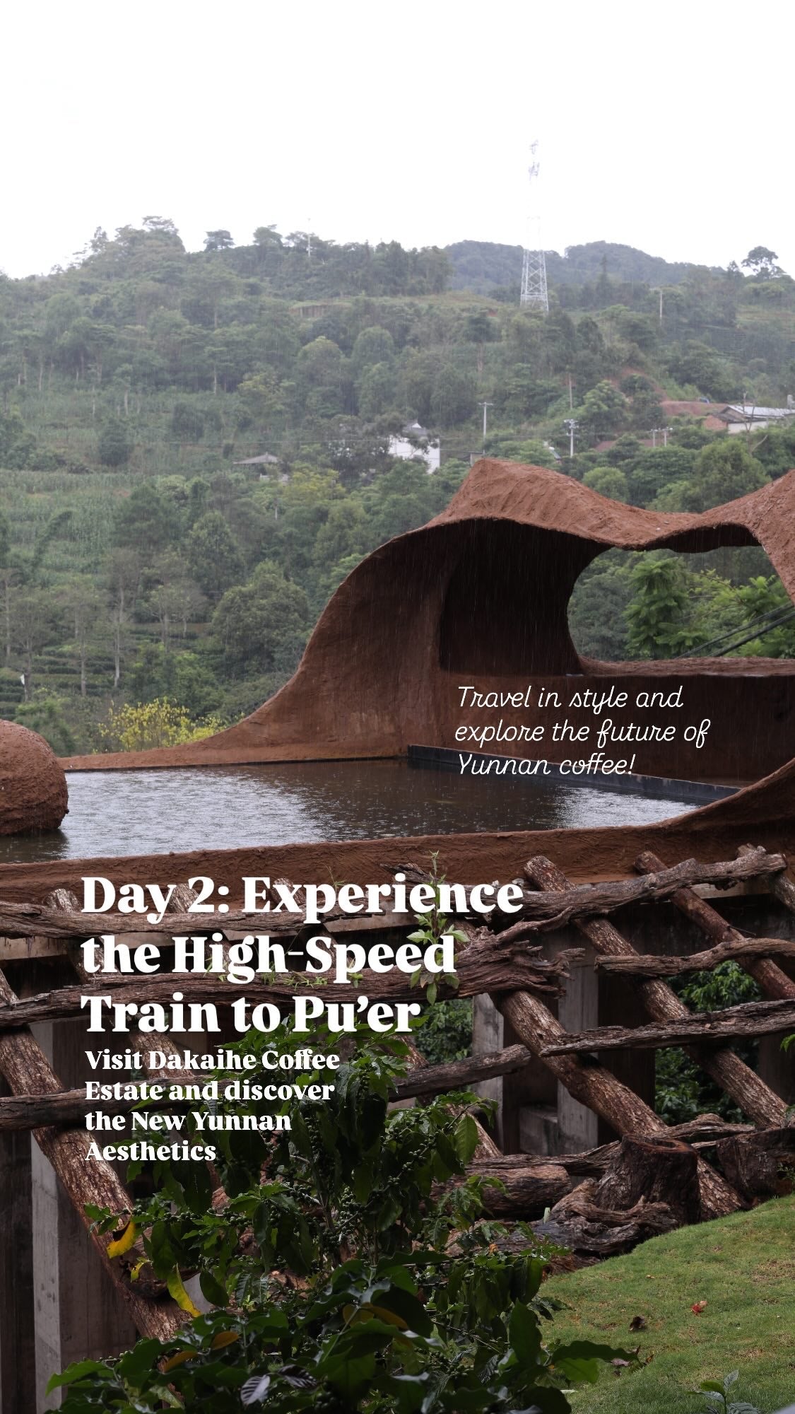 [Pre-Order] [Limited Spots] Yunnan Origin Trip: 6 Days of Coffee & Tea Discovery