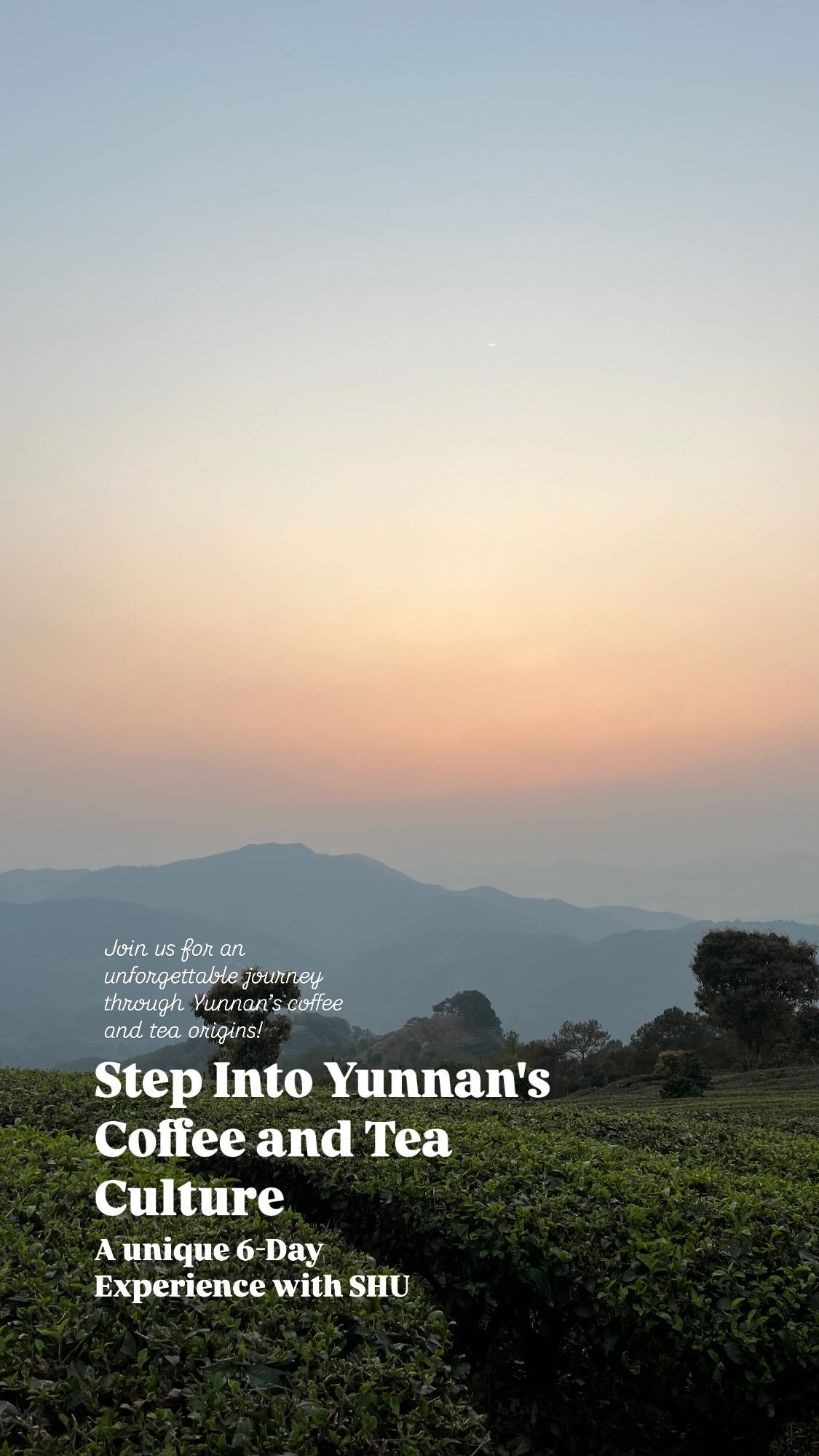 [Pre-Order] [Limited Spots] Yunnan Origin Trip: 6 Days of Coffee & Tea Discovery