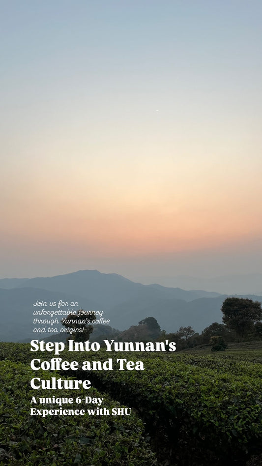 [Pre-Order] [Limited Spots] Yunnan Origin Trip: 6 Days of Coffee & Tea Discovery