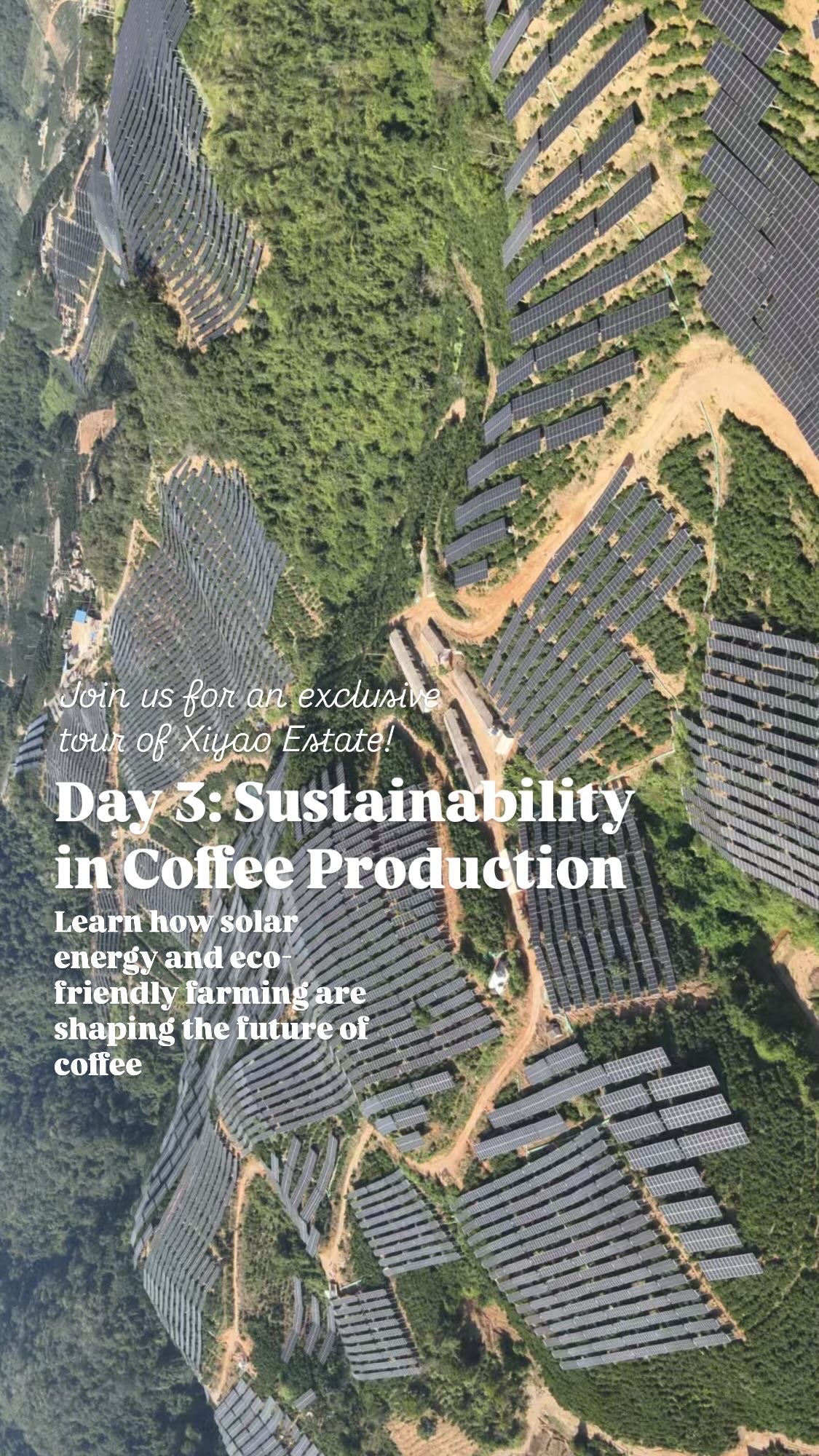 [Pre-Order] [Limited Spots] Yunnan Origin Trip: 6 Days of Coffee & Tea Discovery