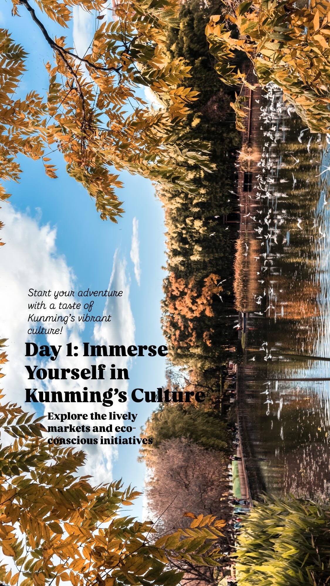 [Pre-Order] [Limited Spots] Yunnan Origin Trip: 6 Days of Coffee & Tea Discovery