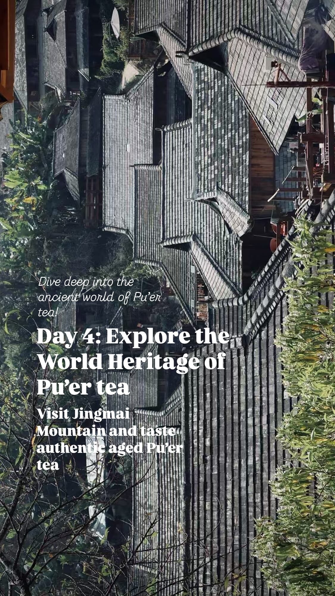 [Pre-Order] [Limited Spots] Yunnan Origin Trip: 6 Days of Coffee & Tea Discovery