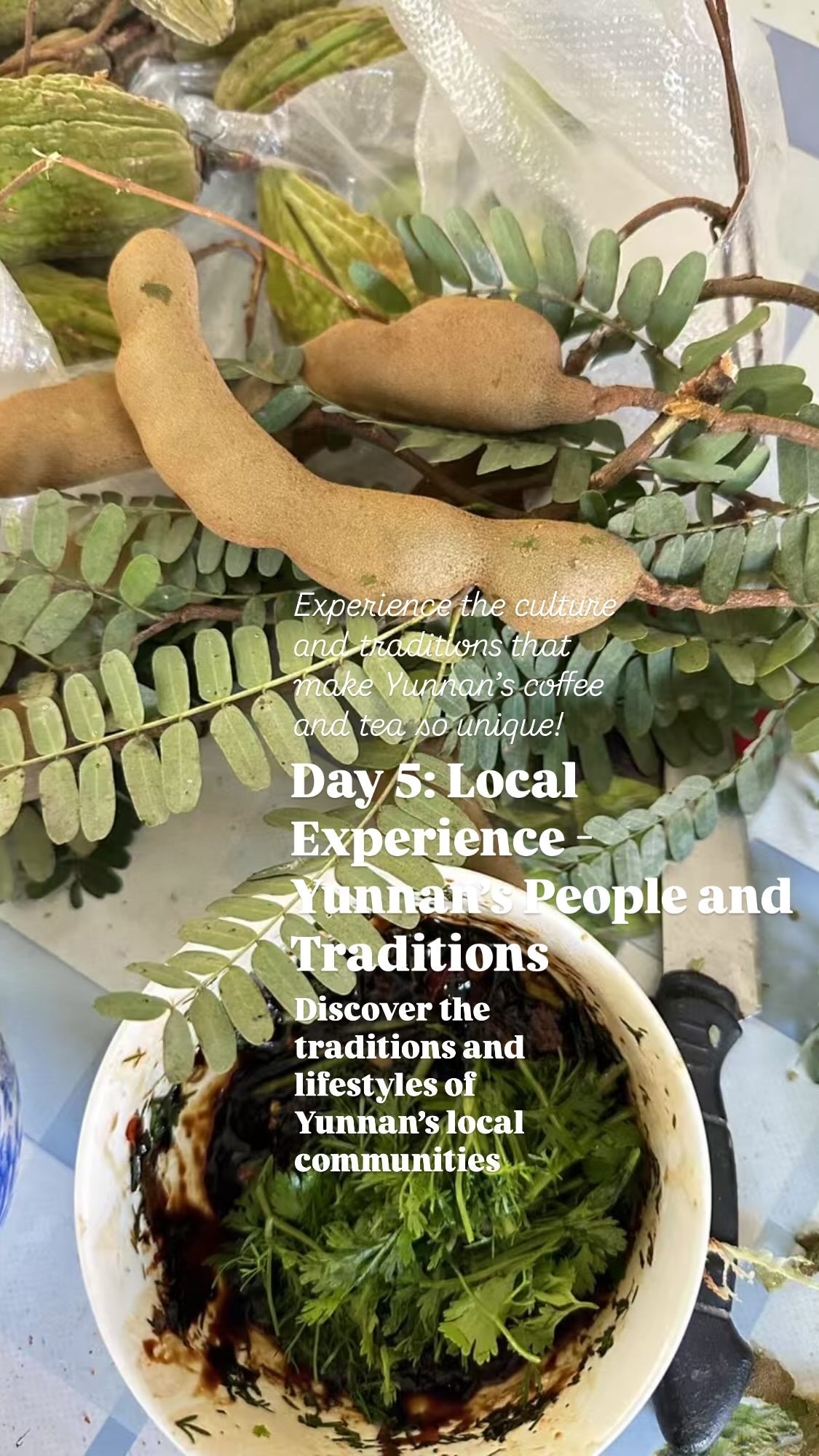 [Pre-Order] [Limited Spots] Yunnan Origin Trip: 6 Days of Coffee & Tea Discovery