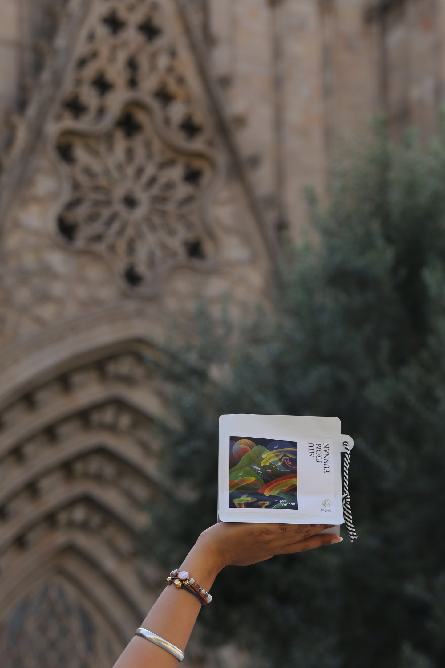 醉云南 Tipsy Yunnan